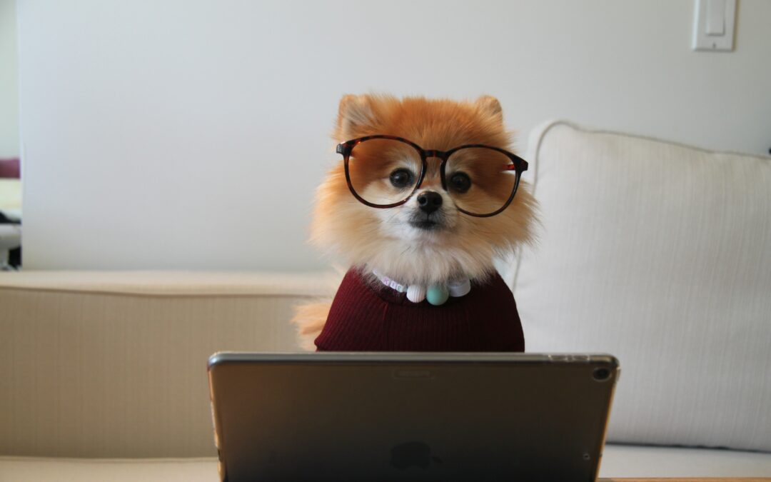 test normaler post